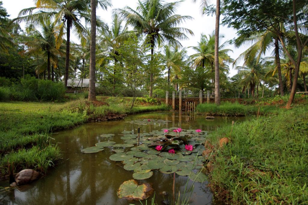 Shreyas Retreat Hotel Nelamangala Kültér fotó